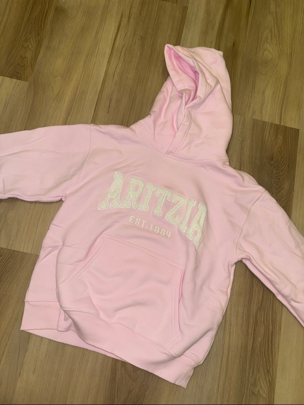 Pink Aritzia Light Pink Logo Hoodie NWT